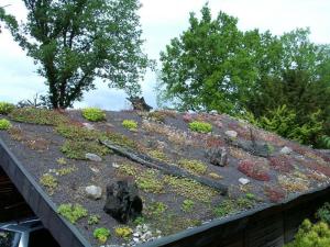 Bild019.jpg