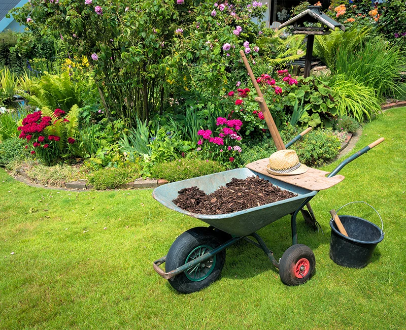 Gartengestaltung & Pflanzarbeiten